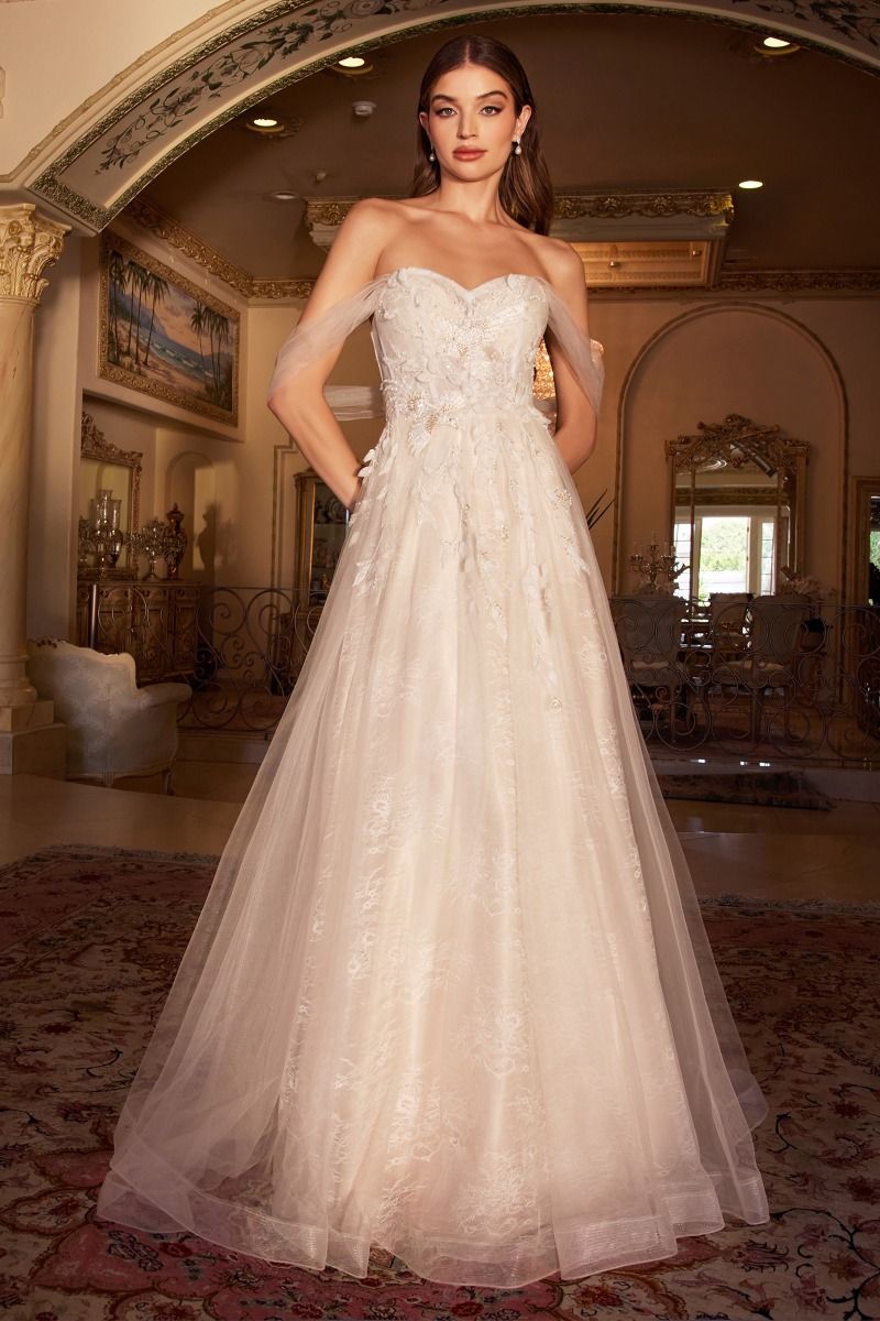 BIRDS OF ROMANCE OFF THE SHOULDER  A-LINE GOWN